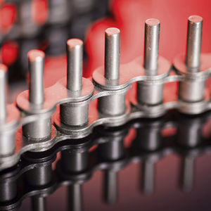 ¡Más cosecha, mayor productividad! Descubre cómo las cadenas SEDIS apoyan a la agricultura mexicana